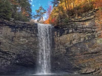 Foster Falls Tracy city Tn.