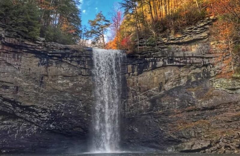 Foster Falls Tracy city Tn.