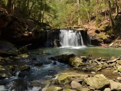 Grundy Forrest Waterfalls (Fiery Gizzard) Entry 1 Tracy City Tn.