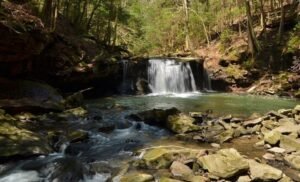 Grundy Forrest waterfalls